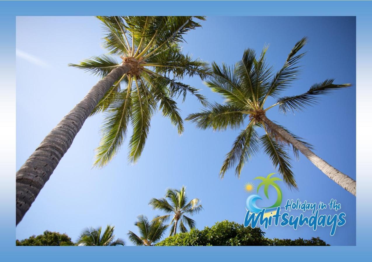 Ocean View 16A Studio Pool & Spa Wi-Fi Эйрли-Бич Экстерьер фото
